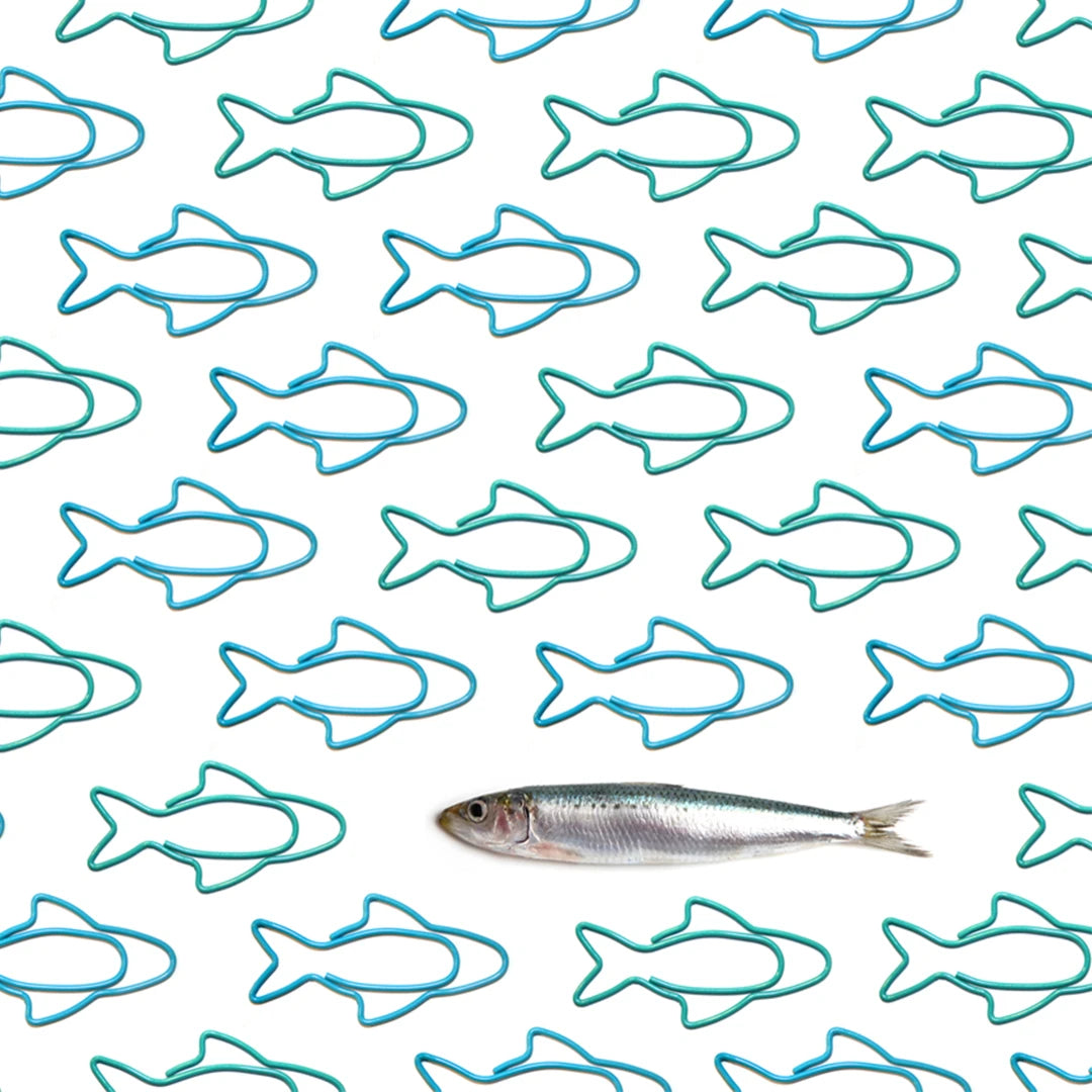 Sardine Paper Clips: Silver fish shapes with green and blue outlines on a white background.