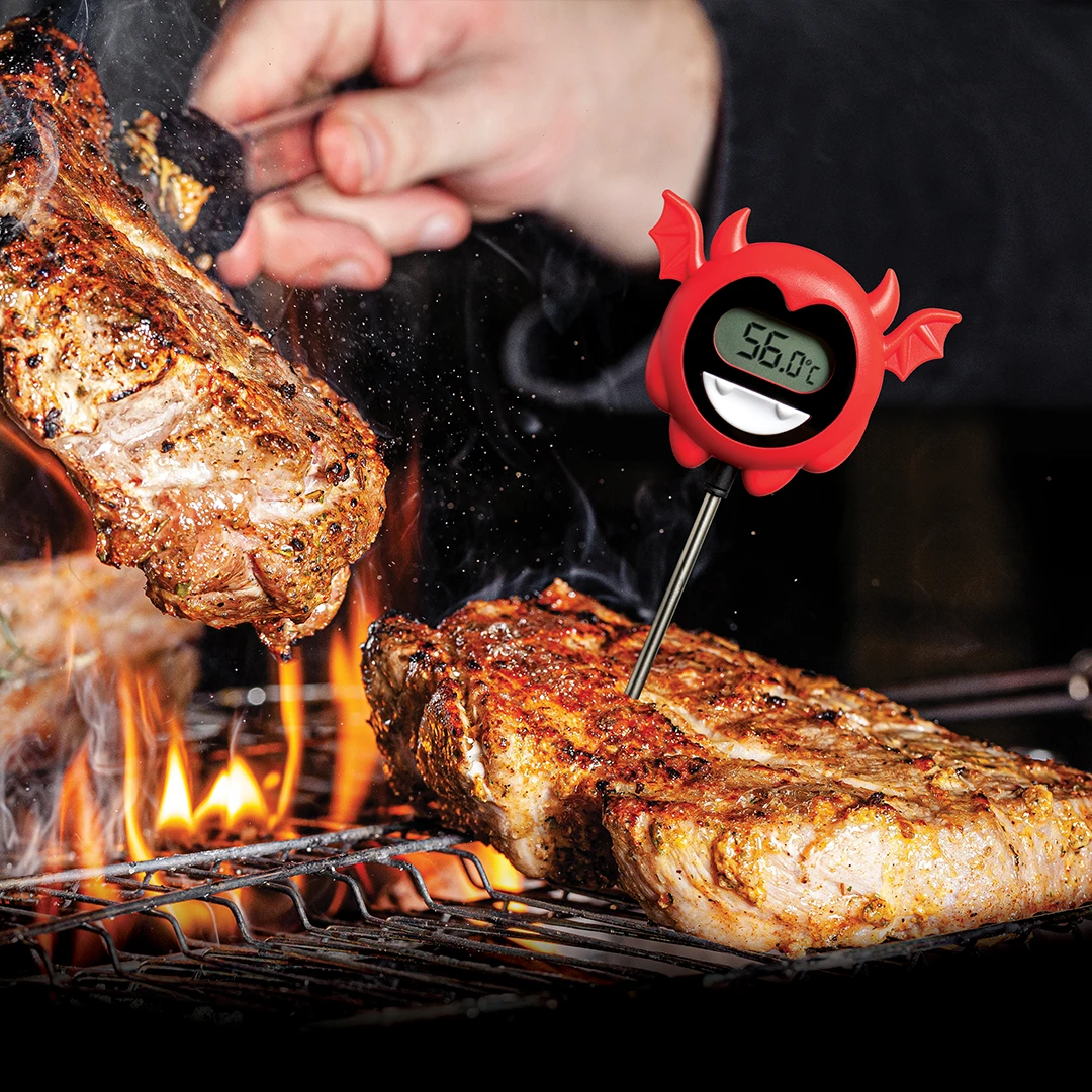 Buy Digital Food Thermometer, BBQ Meat