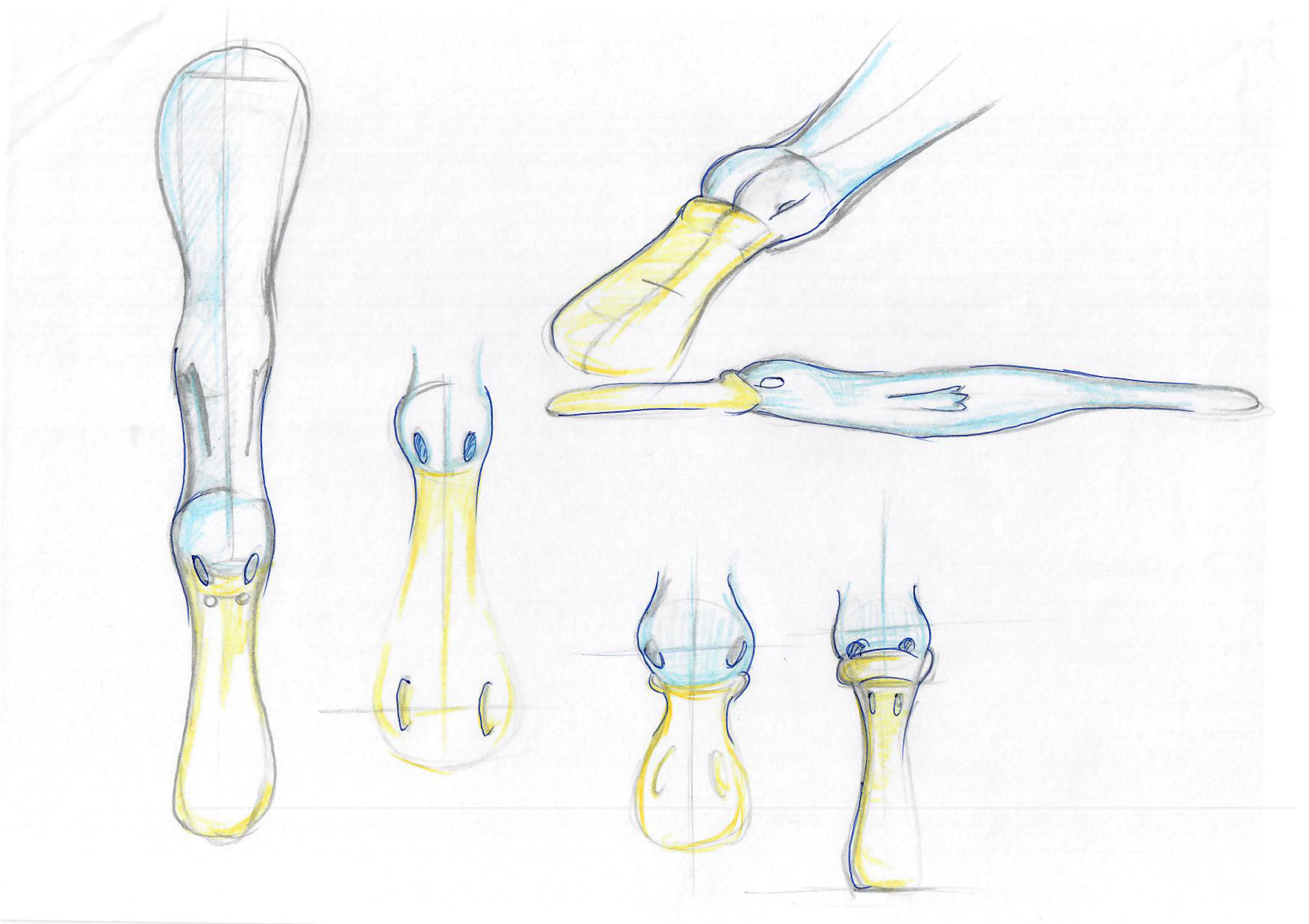 Splatypus — studio drawing